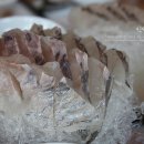 신성얼음