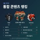 (주)씨라이츠 이미지