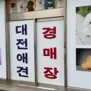 대전애견경매장 이미지