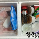 다보참치