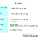 등등반야