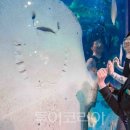 (주)소프트아쿠아 이미지