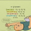 슬림핏점핑다이어트 이미지