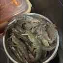 제부도 궁평항 대하 왕새우 1kg 25000원 성실회수산 포장 후기