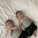 스튜디오아리 이미지