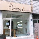 강남펫살롱 이미지