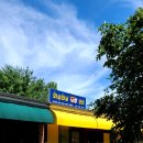 와글와글댕댕 | 청주애견카페 와글와글댕댕 아기랑