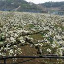 원경농장 이미지