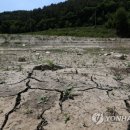 영서축산 이미지