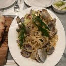 구스토(Gusto) 티스토리