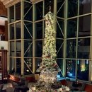 더 스퀘어24 | 노보텔 앰배서더 서울 강남 더 스퀘어 뷔페 평일 디너 가격 메뉴 후기