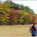 남양성지로 이미지