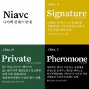 니아벡