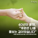 엔젤스헤이븐 이미지