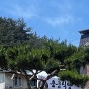 안내보은로 이미지