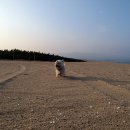 덕천해수욕장 티스토리