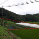 유구농장 이미지