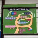 서당골캠핑장 | 밀양 서당골오토캠핑장, 경남가을캠핑 단풍캠핑 사이트추천