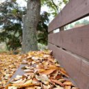 소천월가 이미지