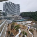 헬스케어 웰라온 이미지