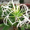 송운농장 이미지