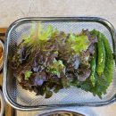 듬성 맛있는 고기에 집착하는 사람들 | 경산 하양 맛집 '듬성 맛있는 고기에 집착하는 사람들‘