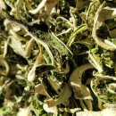 구름다리농장 이미지