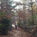 산곡제 이미지