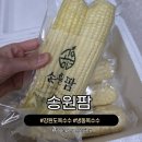 송원전자 | 여름 아이간식 추천 영월 직배송 찰옥수수 송원팜
