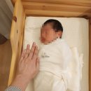 오늘산후조리원 | 수원 영통 오늘 산후조리원 솔직후기 장점 단점