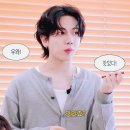 편식당 티스토리