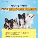 댕댕이집 이미지