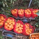 한진농장 2 이미지