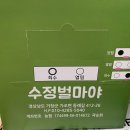 수정벌마야 이미지