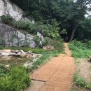 회암사지 유아숲체험원 이미지
