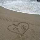 해변연가 이미지