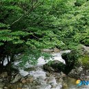 소백산자락길 제7코스 이미지