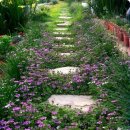 시골마당 이미지