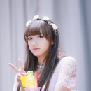반디야식 이미지