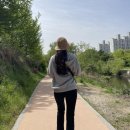 머내생태공원 이미지