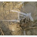 운봉의뜰 이미지