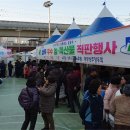 연제장터