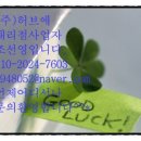 허브애 이미지
