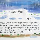 산타로사 이미지
