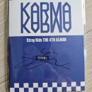 씨큐비(주) | 스키즈만 하다가 1년이 가버렸다.. 25년 스테이 연말결산~~