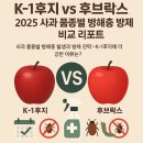 기주농원 | K-1후지 vs 후브락스 – 2025 사과 품종별 병해충 방제 비교 리포트