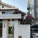 시골홍사과 | 밍똥이네 6월 신혼일상 | 망원동 문래동 데이트, 소소한 신혼집밥 일기 + 여의도 한강수영장