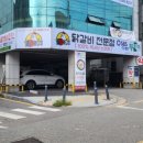 닭스 이미지