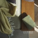 모던데이 이미지