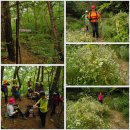 김삿갓면-17 이미지